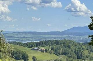 Villa kaufen in 82418 Murnau, Landhausvilla auf großem Grund mit traumhaftem Panoramablick