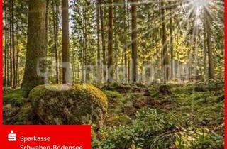 Gewerbeimmobilie kaufen in 86513 Ursberg, saftiges Waldgrundstück in Ursberg-Mindelzell