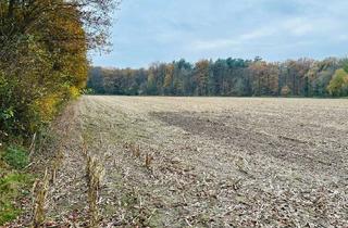 Gewerbeimmobilie kaufen in 48432 Rheine, Acker- und Waldfläche