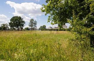 Grundstück zu kaufen in 06925 Annaburg, IHR TRAUM IN ZAUBERHAFTER WALDRANDLAGE