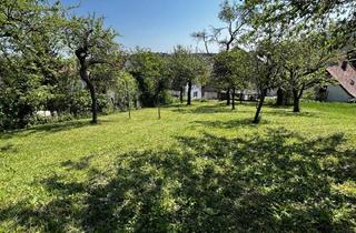 Haus kaufen in 97078 Würzburg, Würzburg / Versbach - Zwei Häuser mit Garten in Versbach.