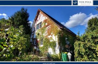 Einfamilienhaus kaufen in 29640 Schneverdingen, Schneverdingen - Besonderes Einfamilienhaus mit großem Garten und viel Potenzial