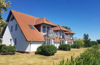 Wohnung mieten in 17449 Karlshagen, 2-Raum-Wohnung mit Terrasse im Erdgeschoss