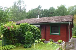 Haus kaufen in 29320 Hermannsburg, Tolles Wochenendhäuschen im schönen Oldendorf