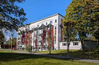 Mehrfamilienhaus kaufen in 98666 Masserberg, Mehrfamilienhaus Renditeobjekt mit Penthouse Wohnung in Masserberg