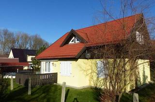 Einfamilienhaus kaufen in 04769 Mügeln, Mügeln - Ihr neues Zuhause in Nordsachsen: Idyllisches Einfamilienhaus mit Garten, Pool und moderner Ausstattung vor den Toren von Mügeln