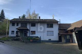 Mehrfamilienhaus kaufen in 79429 Malsburg-Marzell, Malsburg-Marzell - VIELFÄLTIGE NUTZUNGSOPTIONEN