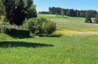 Haus kaufen in 88267 Vogt, Wohnen und Arbeiten in ruhigem Wohngebiet