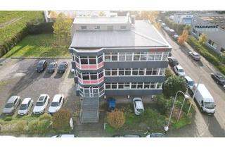 Büro zu mieten in 76275 Ettlingen, Haus Weilgut! Repräsentative Bürofläche in bester Lage von Ettlingen!