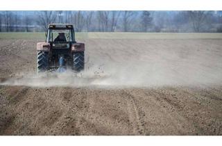 Gewerbeimmobilie kaufen in 85256 Vierkirchen, Landwirtschaftliche Fläche bei Vierkirchen - Pasenbach!