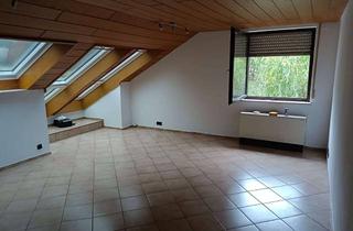 Wohnung mieten in 74635 Kupferzell, 4 Zimmer Wohnung im herzen von Künzelsau