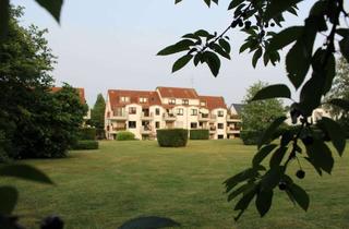 Wohnung mieten in Hohegrabenweg 79, 40667 Meerbusch, Wunderschönes Garten-Apartment in Meerbusch-Büderich