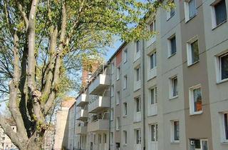 Wohnung mieten in Geschwister-Scholl-Straße 43, 17291 Prenzlau, Kleine 3-Zimmer-Wohnung im Herzen der Stadt