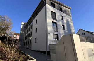 Wohnung mieten in Bildechinger Steige 44, 72160 Horb, helle und moderne 3-Zimmer-Neubauwohnung, Horb-Hohenberg