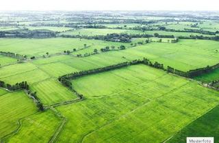 Grundstück zu kaufen in 07422 Bad Blankenburg, Land- / Forstwirtschaft in 07422 Bad Blankenburg, Hinter dem Edelhofe