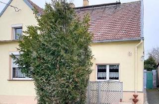 Einfamilienhaus kaufen in 04886 Beilrode, Beilrode - VIEL PLATZ MIT GARTEN