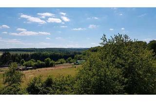 Wohnung kaufen in 67292 Kirchheimbolanden, Kirchheimbolanden - Wunderschön gelegene ETW mit Waldpanorama, 3-Zimmer, 95m2, EBK