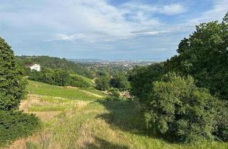 Wohnung kaufen in 01445 Radebeul, Radebeul - Wunderschöne Eigentumswohnung mit Blick über Radebeul bis nach Dresden am Paradiesberg