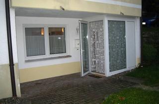 Wohnung mieten in 96472 Rödental, Attraktive und gepflegte 1-Raum-Souterrain-Wohnung mit Balkon und EBK in Rödental