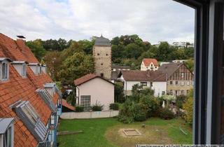 Wohnung mieten in 34414 Warburg, Renoviertes & feines 1,5 ZKB-Appartement in Warburg