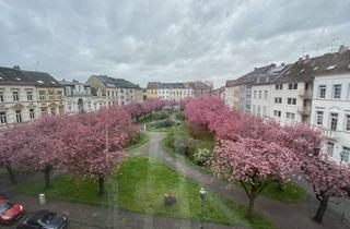 Wohnung mieten in 47798 Stadtmitte, Alexanderplatz / 2-Zi Altbau / Erstbezug nach Sanierung