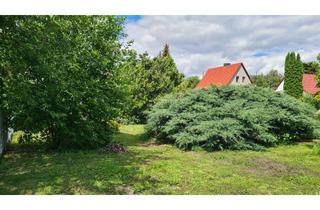 Einfamilienhaus kaufen in 06116 Reideburg, Zu sanierendes Einfamilienhaus im Osten von Halle mit großem Grundstück