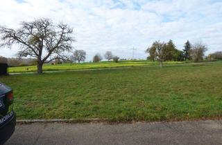 Grundstück zu kaufen in 75417 Mühlacker, DHH Bauplatz in Höhenlage von Mühlacker-Enzberg