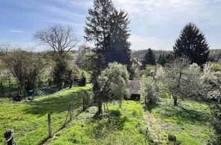 Grundstück zu kaufen in 72666 Neckartailfingen, Baugrundstück mit 1.250 m² in Halbhöhenlage - Ausblick - Blick ins Grüne