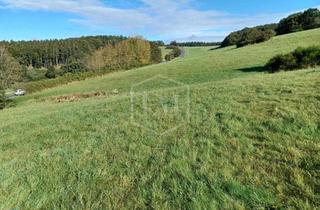 Immobilie kaufen in 53902 Bad Münstereifel, Grünland in Bad Münstereifel