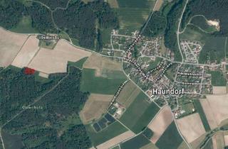 Gewerbeimmobilie kaufen in 91729 Haundorf, Waldgrundstück Gemarkung Haundorf