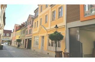 Wohnung mieten in Wenzelsstraße, 06618 Naumburg, Barrierefreie 1 R. -Wohnung, mit Terrasse in historischer Altstadt