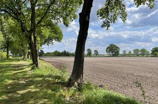 Gewerbeimmobilie kaufen in 26188 Edewecht, ca 2,3 Ha Ackerland in Edewecht / Husbäke