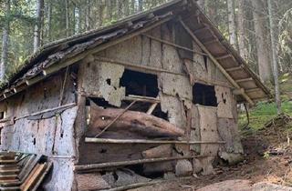 Einfamilienhaus kaufen in 51545 Waldbröl, Waldbröl - Haus mit Grundstück Einfamilienhaus