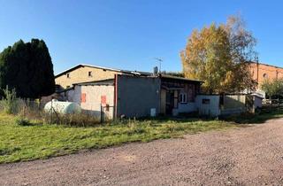 Haus kaufen in Schachtanlage 10, 06198 Zappendorf, Zweifamilienhaus in Salzatal Zappendorf