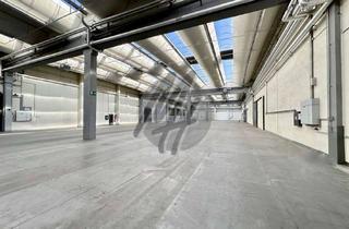 Büro zu mieten in 60599 Oberrad, KEINE PROVISION ✓ SCHNELL VERFÜGBAR ✓ Lager-/Produktion (6.100 m²) & Büro (1.000 m²) zu vermieten