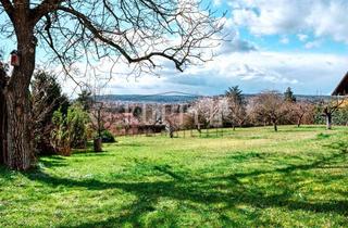 Grundstück zu kaufen in 91301 Forchheim, Sonniges Filetgrundstück für Ihr Traumhaus mit herrlichem Fernblick!