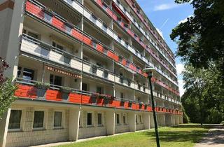 Wohnung mieten in Lindenplatz 24, 03042 Sandow, Schöne Wohnung mit Blick ins Grüne