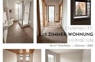 Wohnung mieten in Obermarkt, 04736 Waldheim, Zentrale, frisch renovierte 2-Zimmer-Wohnung in Waldheim