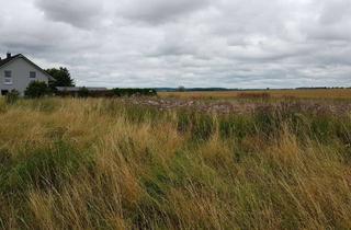 Grundstück zu kaufen in Schwarzer Weg, 17349 Groß Miltzow, Idyllisch gelegenes Grundstück in der Mecklenburgische Seenplatte