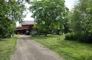 Haus kaufen in 21756 Osten, 21756 Osten / Hemmoor: Resthof mit Pferdeboxen auf 2 ha Grundstück