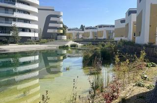 Wohnung mieten in 89160 Dornstadt, 1-Zimmer Wohnung mit Seeblick in Dornstadt