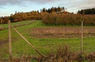 Grundstück zu kaufen in Ottershofen, 88287 Grünkraut, Bodenseenahes Baugrundstück, landwirtschaftliche Flächen