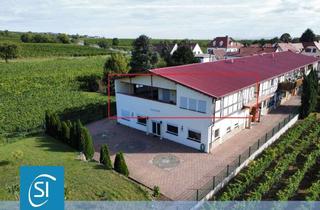 Wohnung kaufen in 67169 Kallstadt, Haus im Haus.... traumhafte Eigentumswohnung (sep. Zugang) mit Blick in die Weinberge