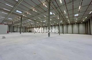 Gewerbeimmobilie mieten in 63755 Alzenau, Ab sofort | ca. 4.000 m² hochwertige Logistikhalle | flexibel nutzbar | ideal angebunden