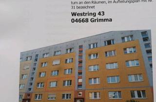 Wohnung kaufen in 04668 Grimma, Grimma - Verkaufe Eigentumswohnung 3-raum