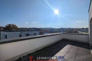 Lofts mieten in 63743 Aschaffenburg, STILVOLLE 3-ZIMMER-LOFTWOHNUNG NÄHE ROSENSEE