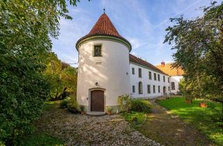 Haus kaufen in 94369 Rain, "Historisches Schlossjuwel in Rain: Exklusiver Wohnsitz in Niederbayern"