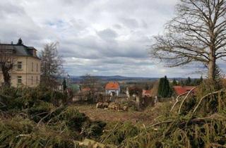 Grundstück zu kaufen in 01833 Stolpen, Ehemalige Parkanlage für 1-2 kleinere Mehrfamilienhäuser