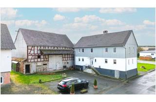 Einfamilienhaus kaufen in 35325 Mücke, Modernisiertes Einfamilienhaus mit Nebengebäuden in Mücke - OT