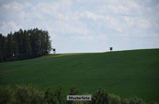 Grundstück zu kaufen in In Den Viehgerten, 98693 Ilmenau, Landwirtschafts-, Wald- und Verkehrsfläche